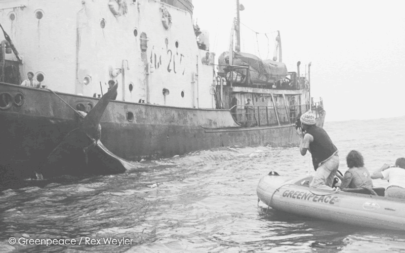Greenpeace
